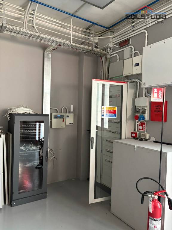 immagine annuncio 4 di 12