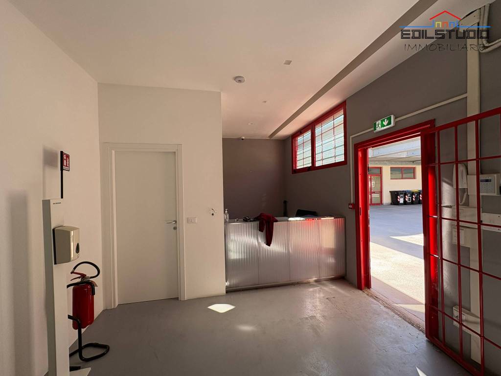 immagine annuncio 8 di 12