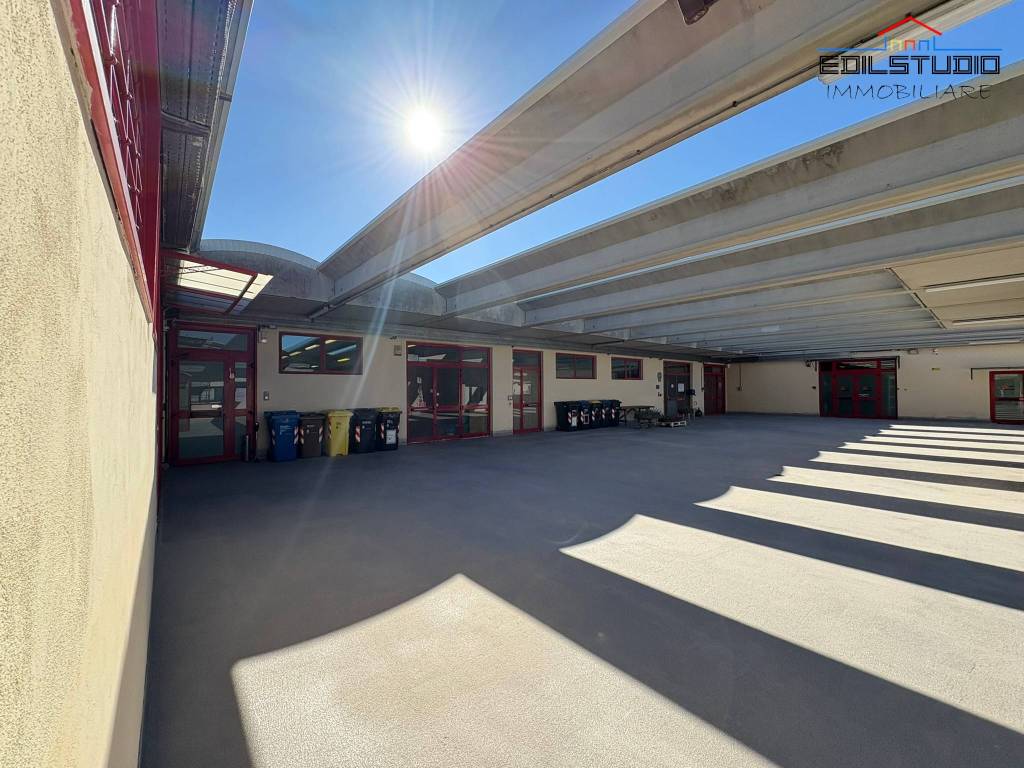 immagine annuncio 9 di 12