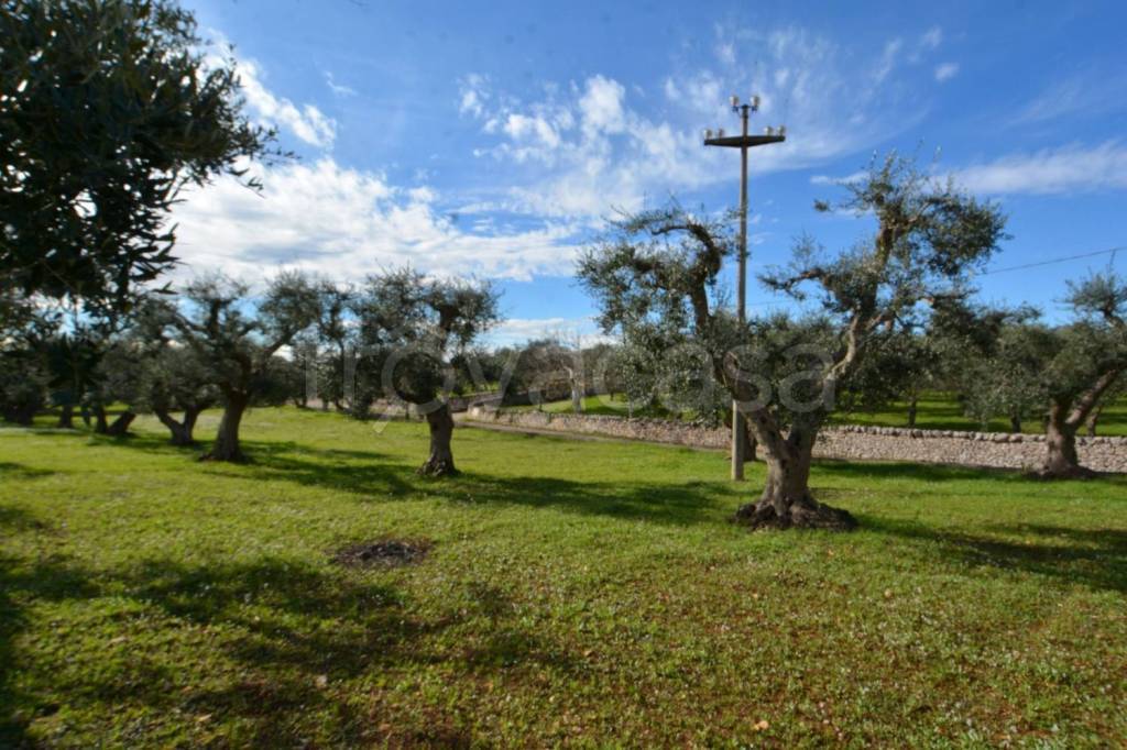 immagine annuncio 2 di 4