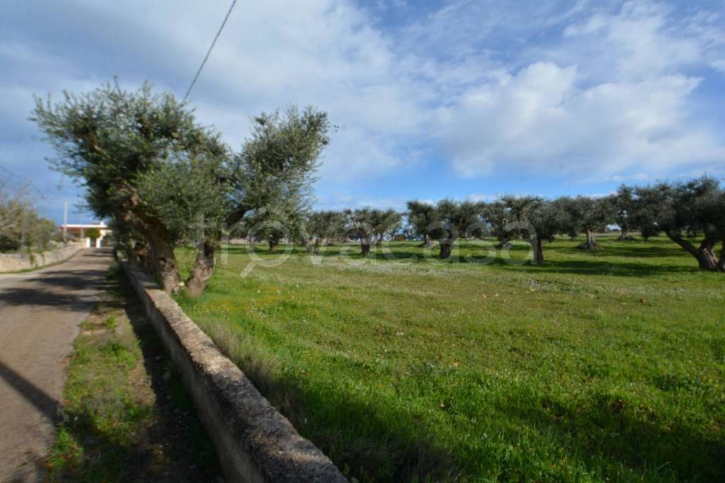 immagine annuncio 3 di 4