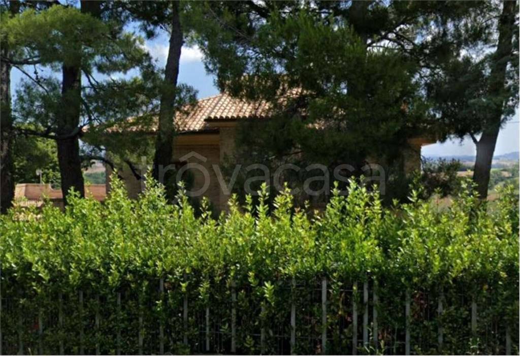 immagine annuncio 8 di 11