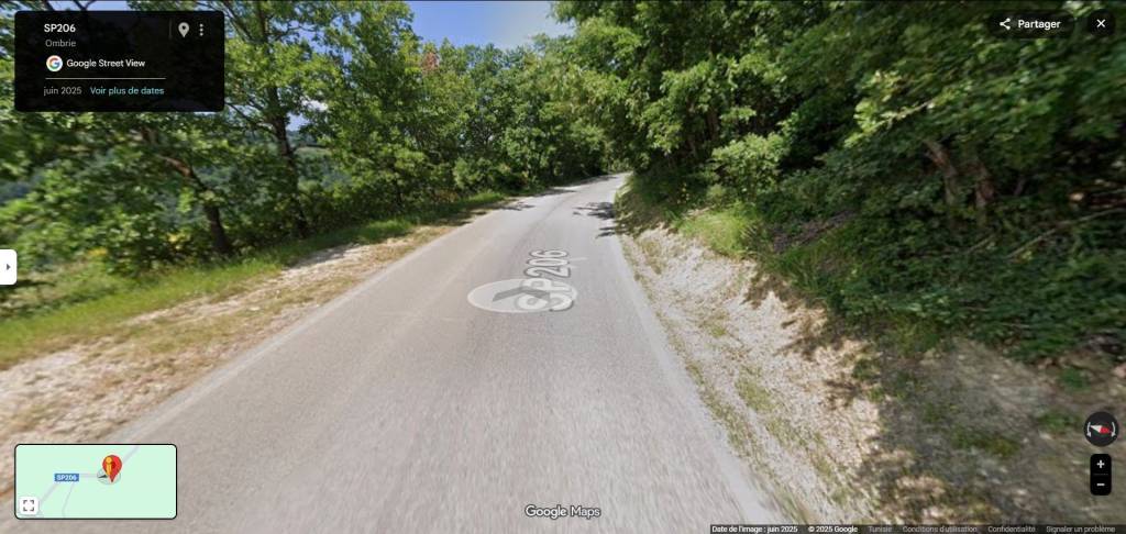 immagine annuncio 9 di 13