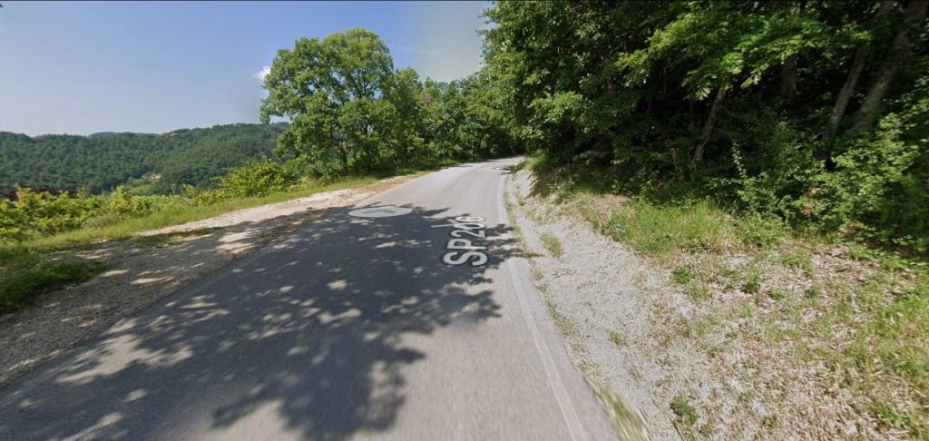 immagine annuncio 10 di 13