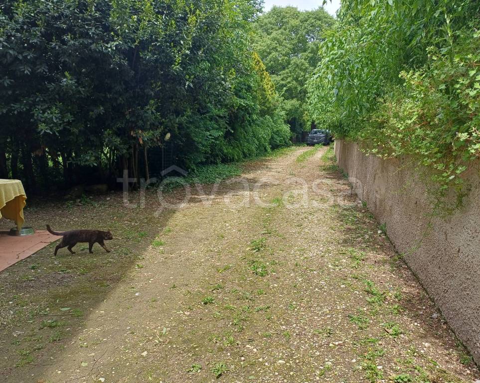 immagine annuncio 6 di 13