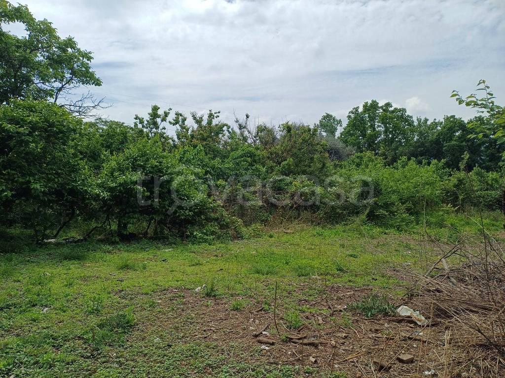 immagine annuncio 7 di 13