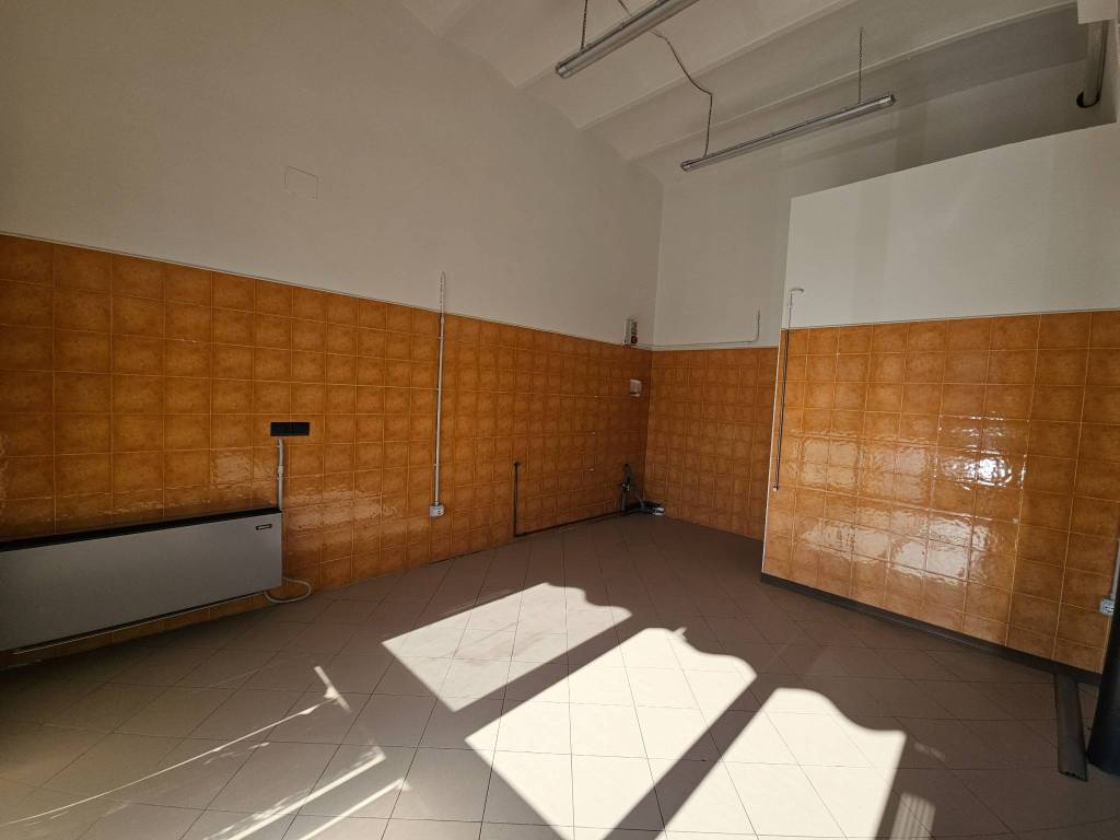 immagine annuncio 4 di 8