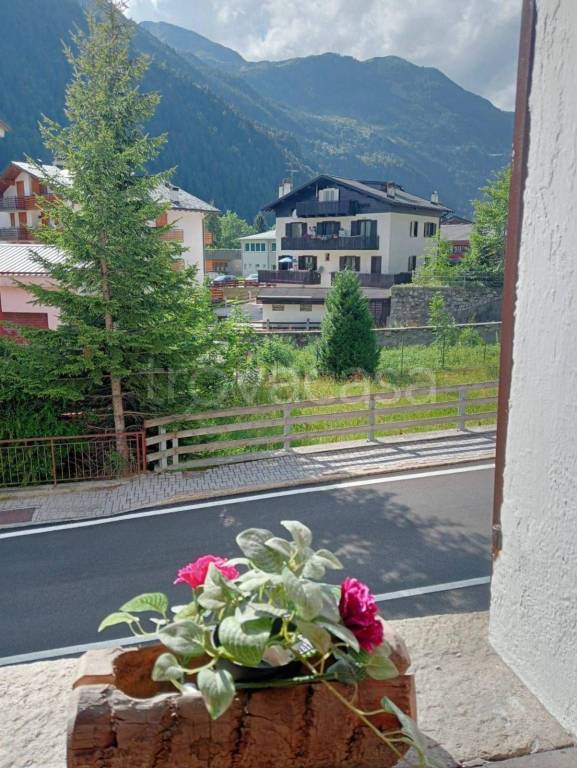 immagine annuncio 2 di 6