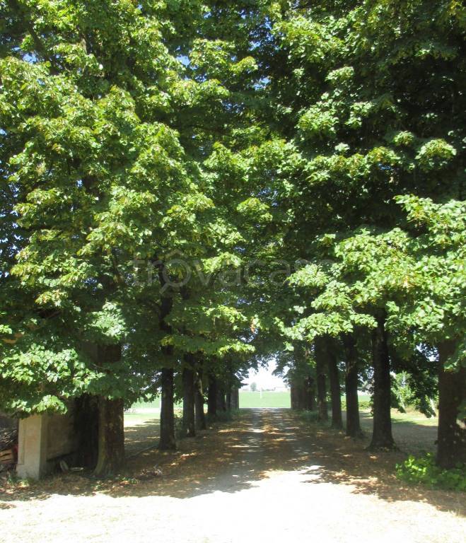 immagine annuncio 4 di 6