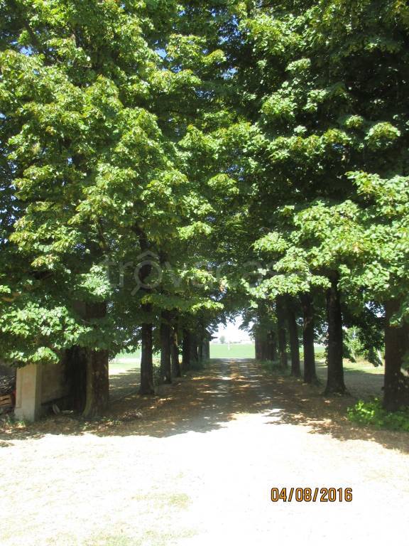 immagine annuncio 5 di 6