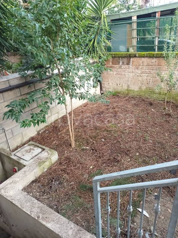 immagine annuncio 8 di 9