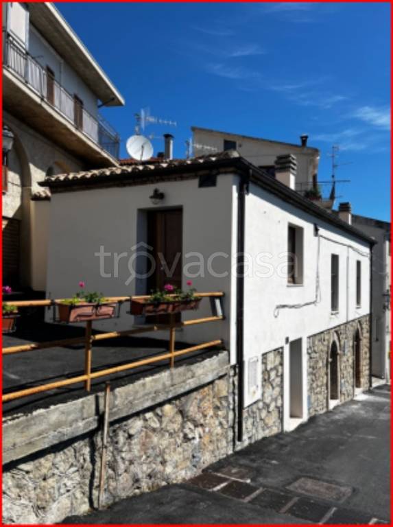 immagine annuncio 2 di 12