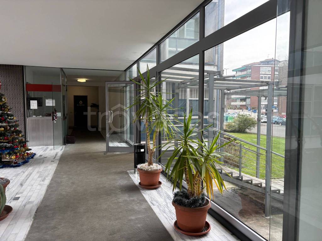 immagine annuncio 2 di 13