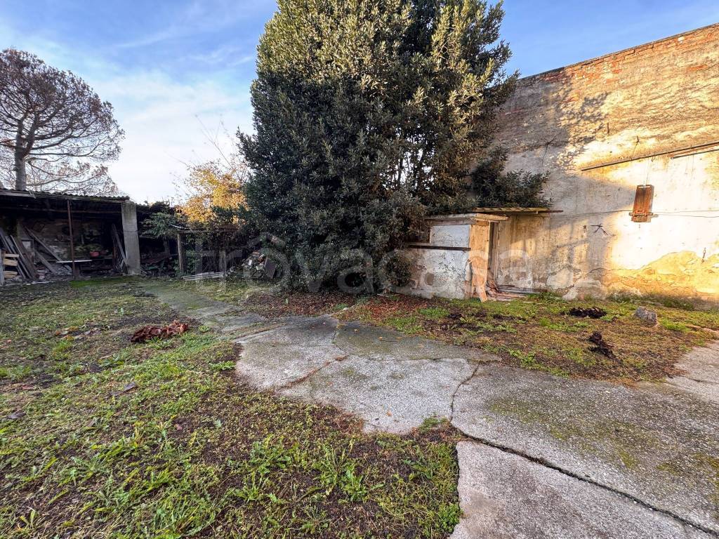 immagine annuncio 1 di 14