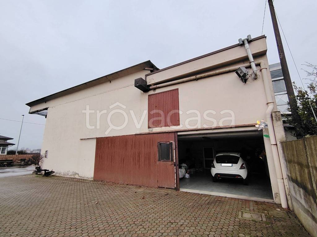 immagine annuncio 7 di 15