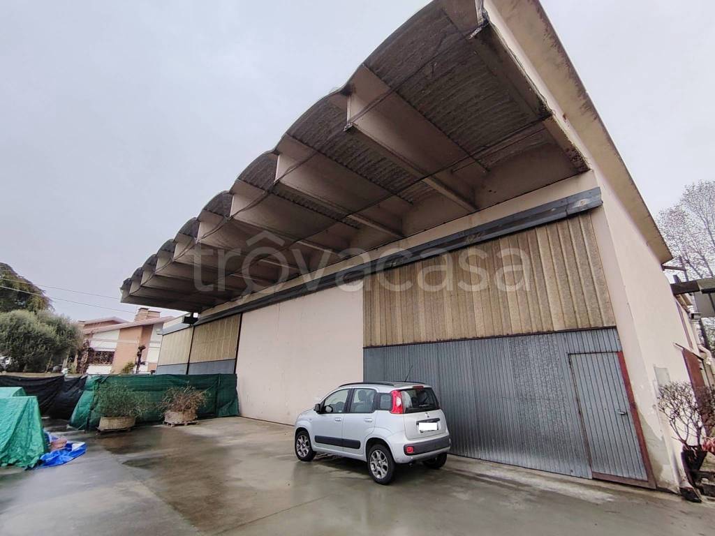 immagine annuncio 11 di 15