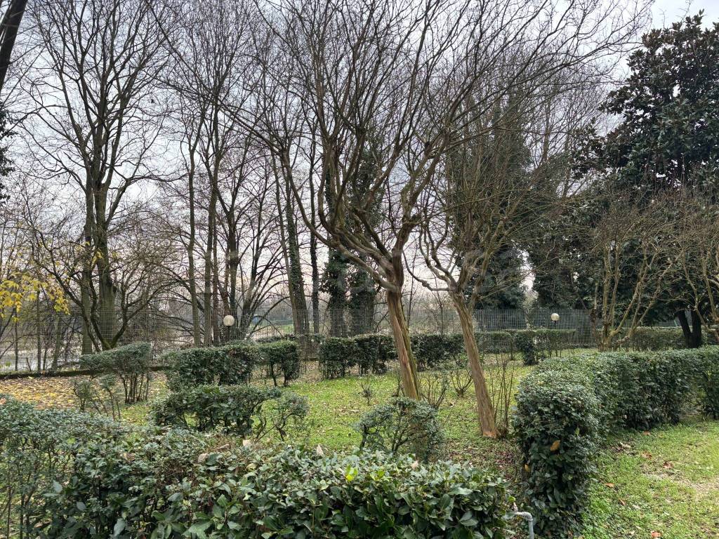 immagine annuncio 11 di 13