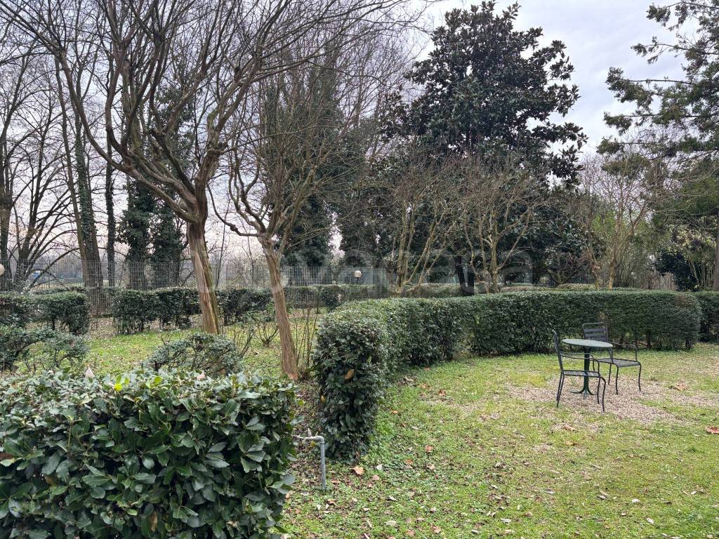 immagine annuncio 12 di 13