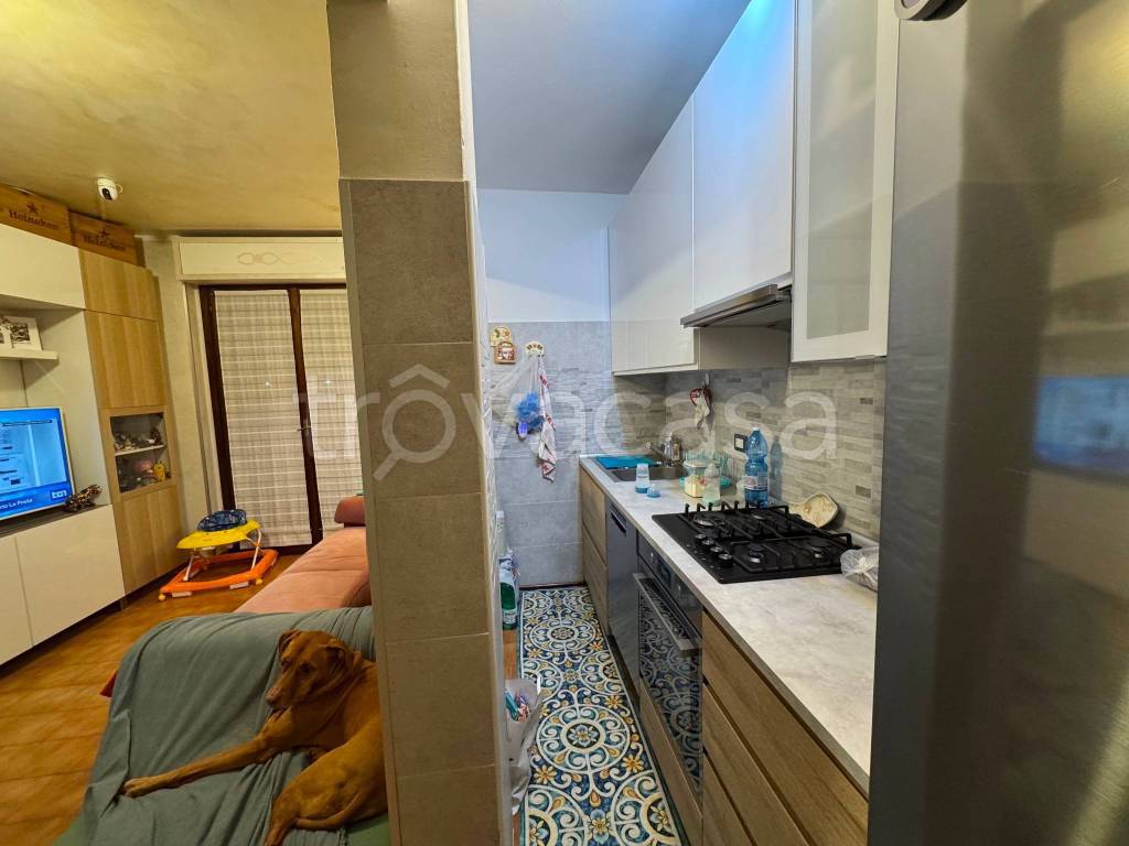 immagine annuncio 6 di 15