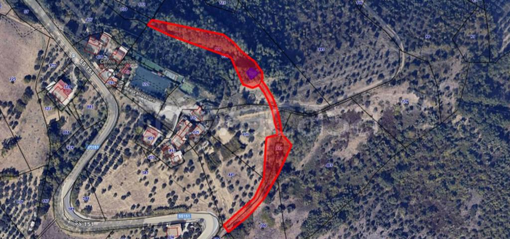 immagine annuncio 3 di 11