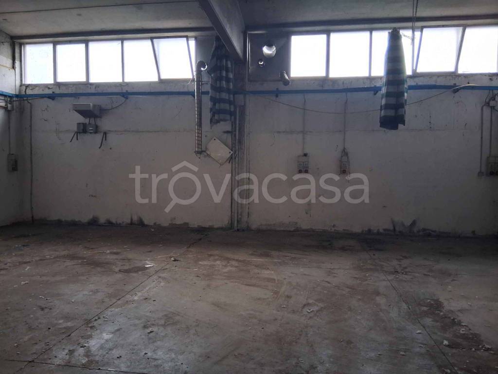 immagine annuncio 2 di 4