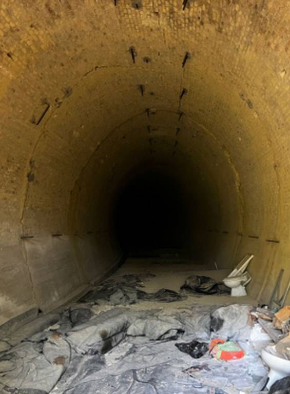 immagine annuncio 6 di 11