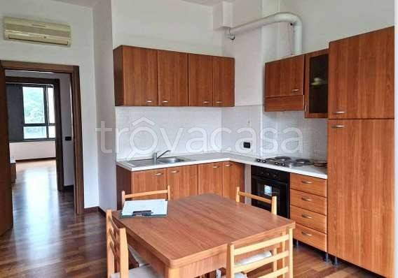 immagine annuncio 4 di 14