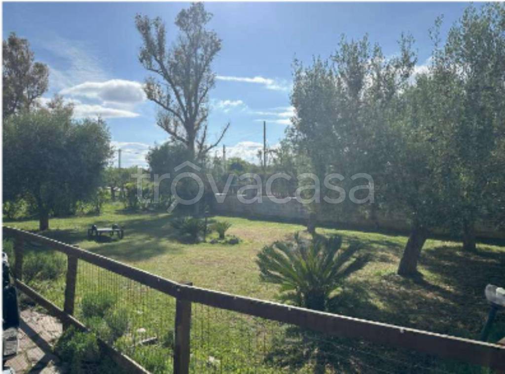 immagine annuncio 11 di 14