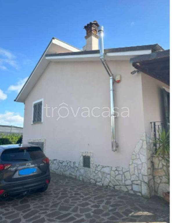 immagine annuncio 13 di 14