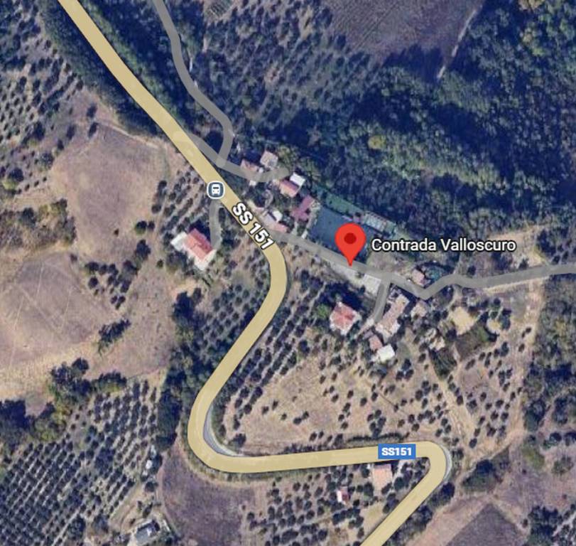 immagine annuncio 9 di 11