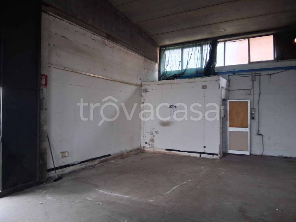 immagine annuncio 2 di 4