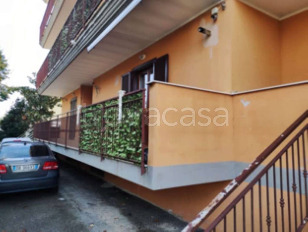 immagine annuncio 2 di 14