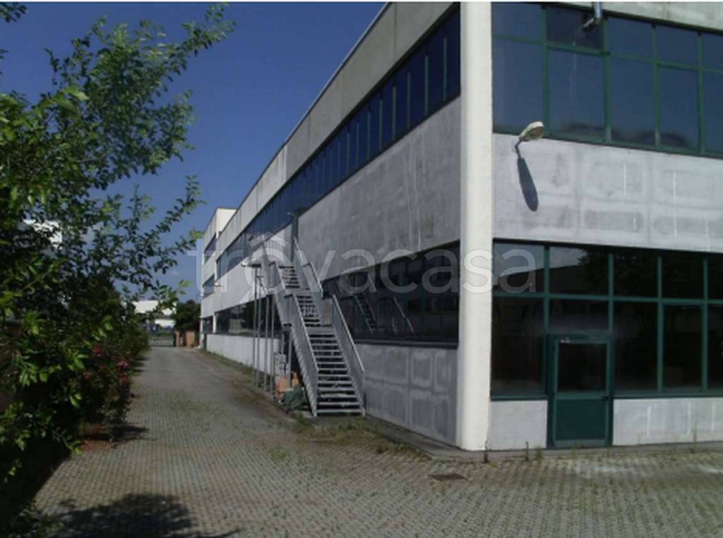 immagine annuncio 3 di 11