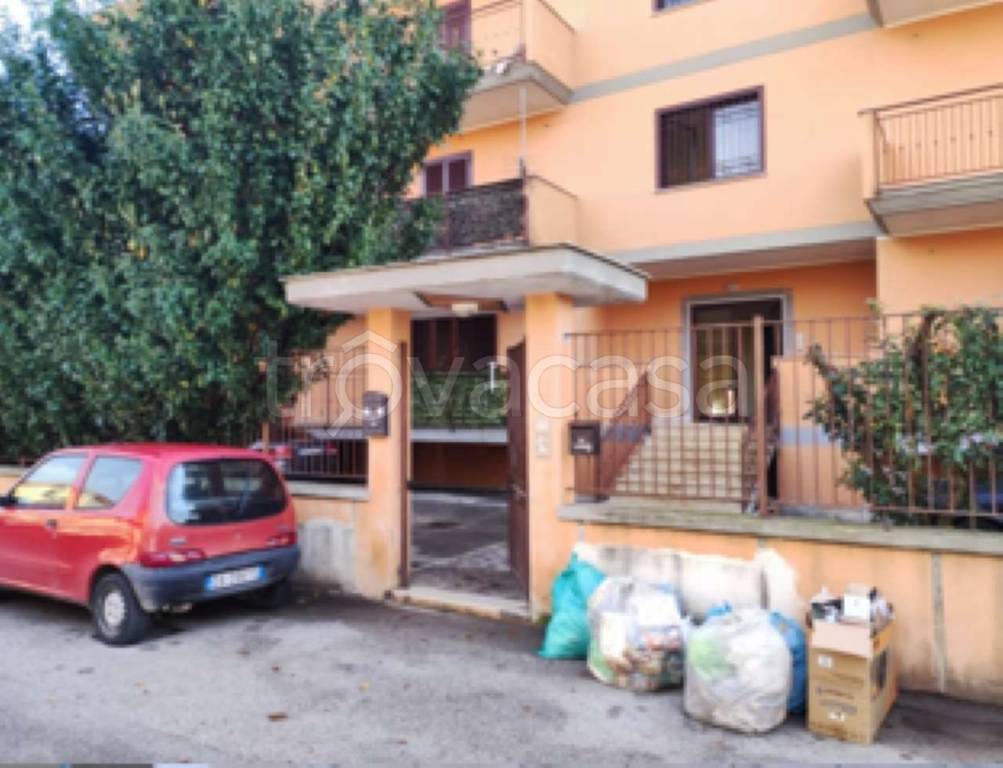 immagine annuncio 3 di 14