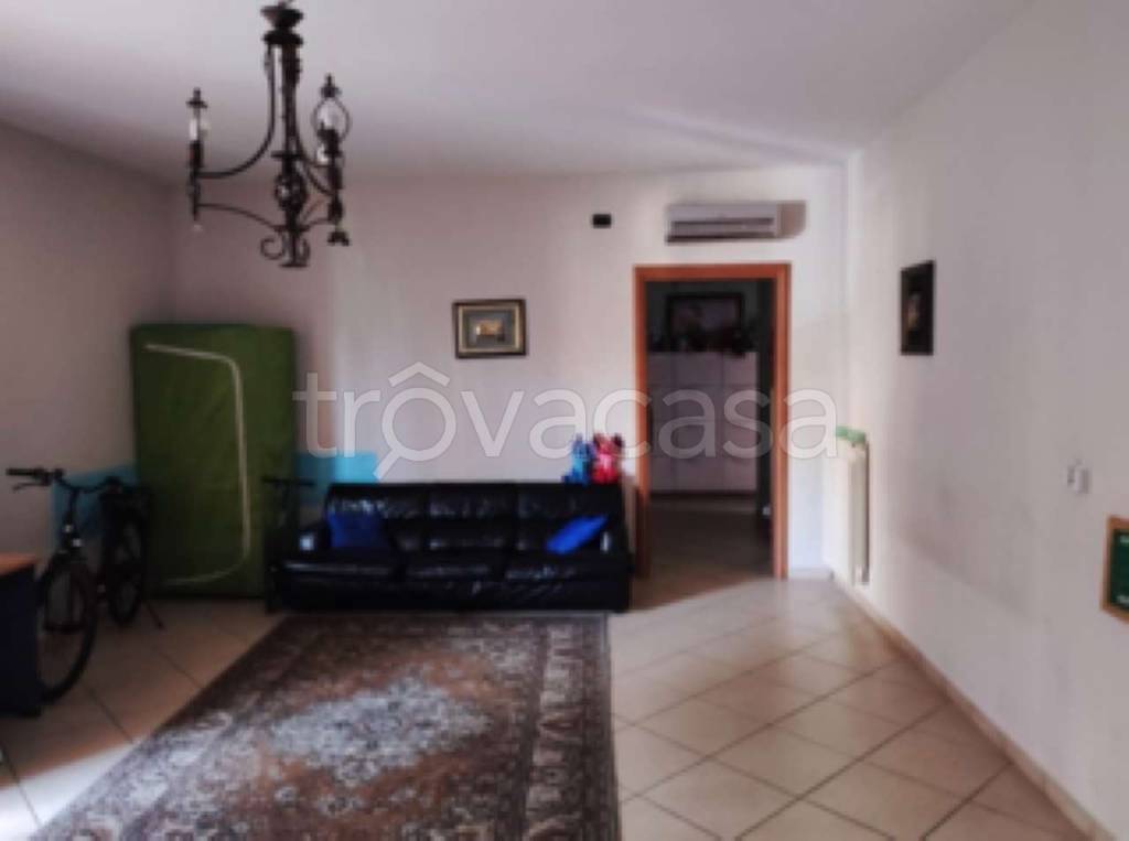 immagine annuncio 5 di 14