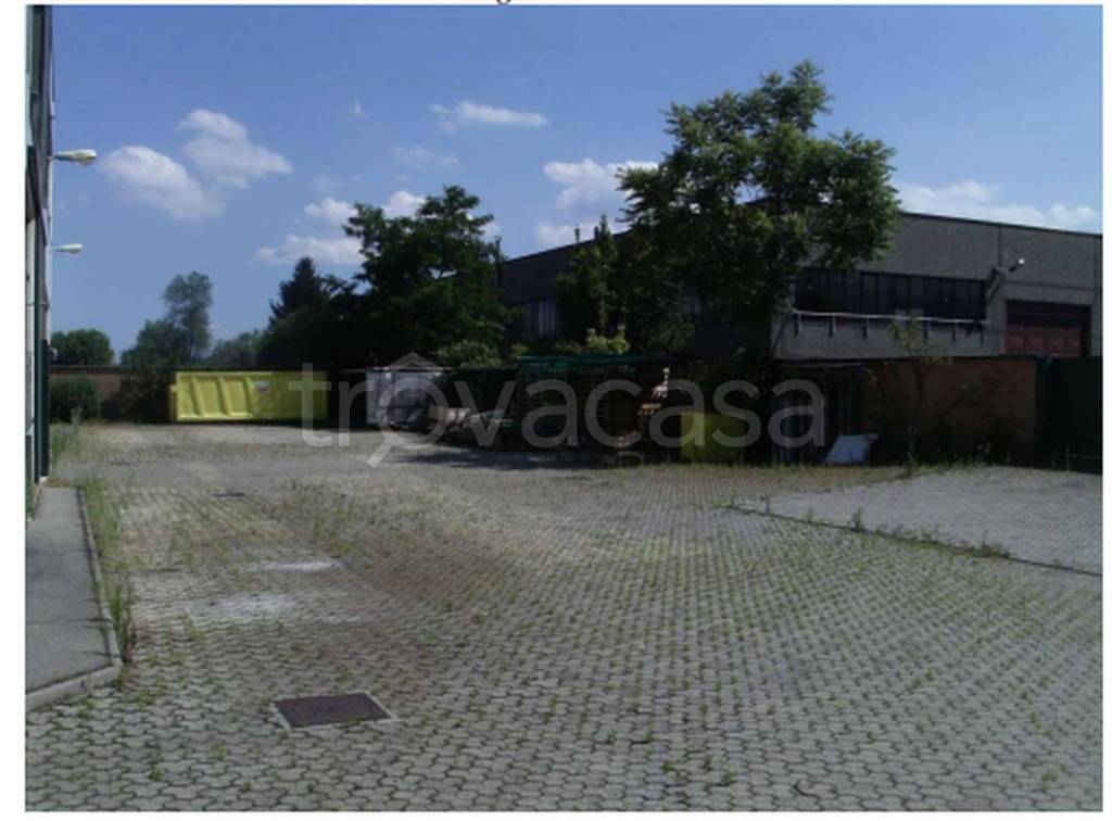 immagine annuncio 4 di 11