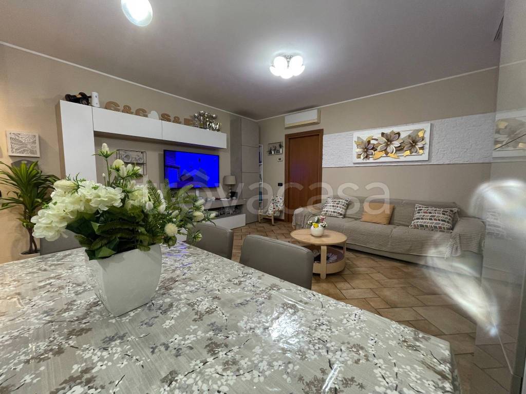 immagine annuncio 4 di 14