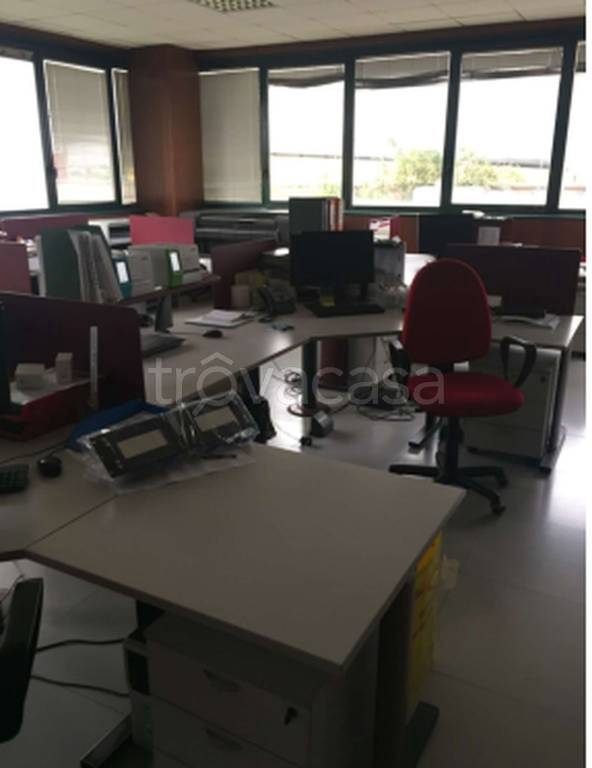 immagine annuncio 7 di 11