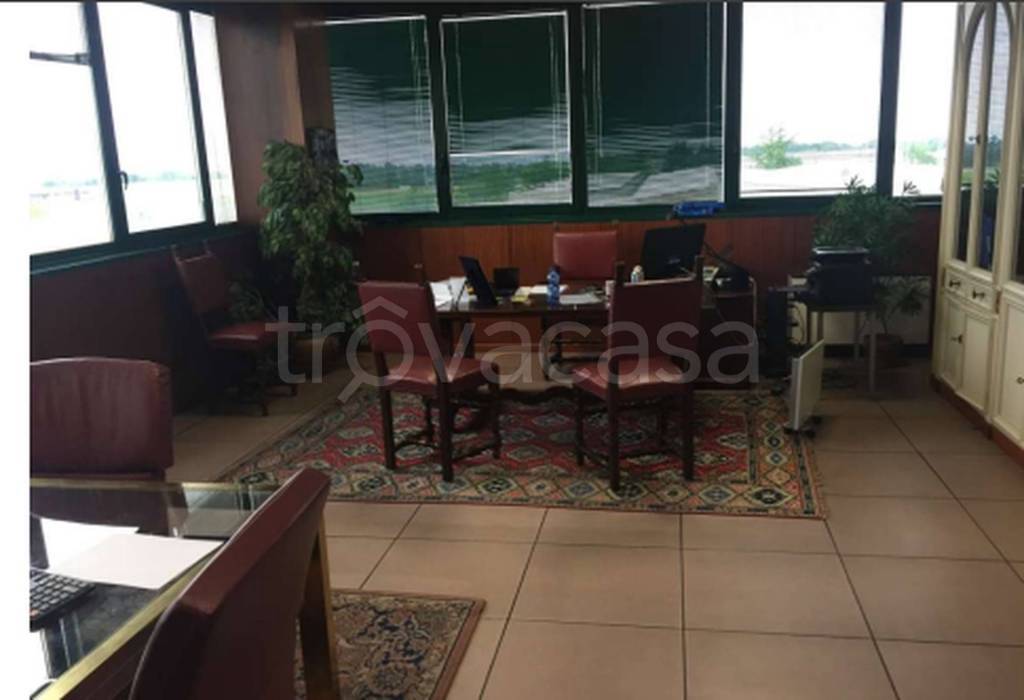 immagine annuncio 10 di 11