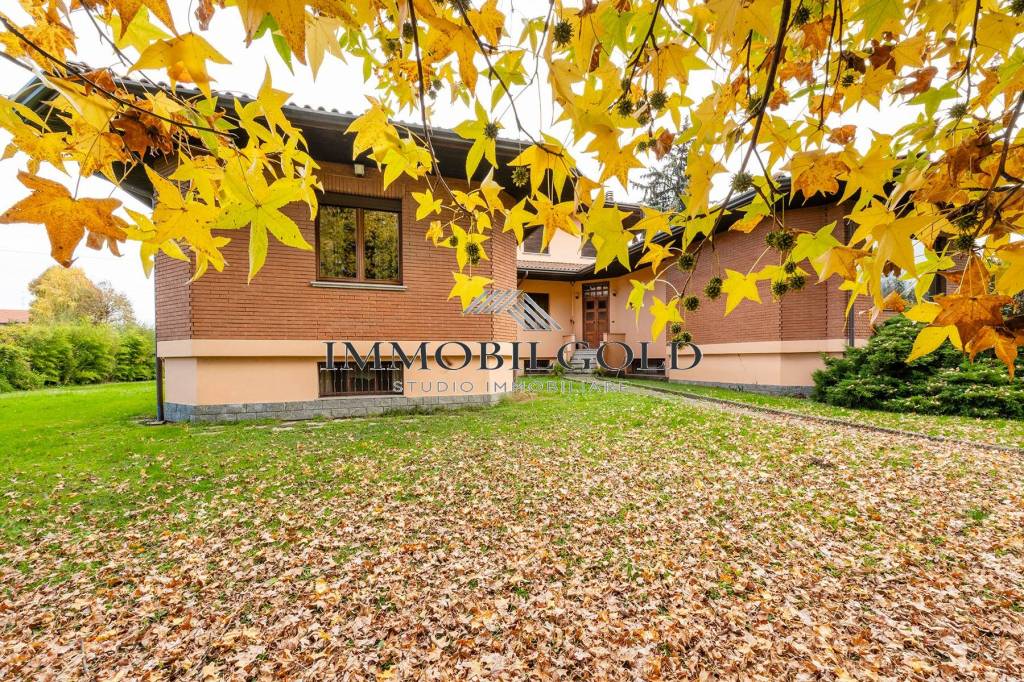 immagine annuncio 11 di 13