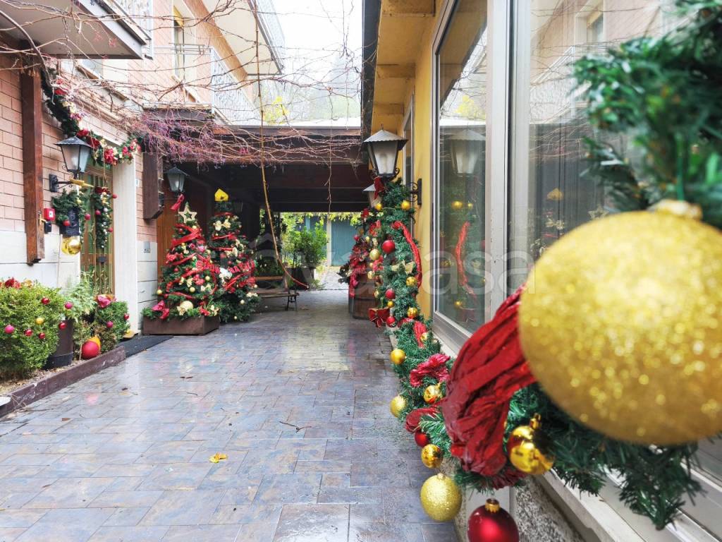 immagine annuncio 2 di 8