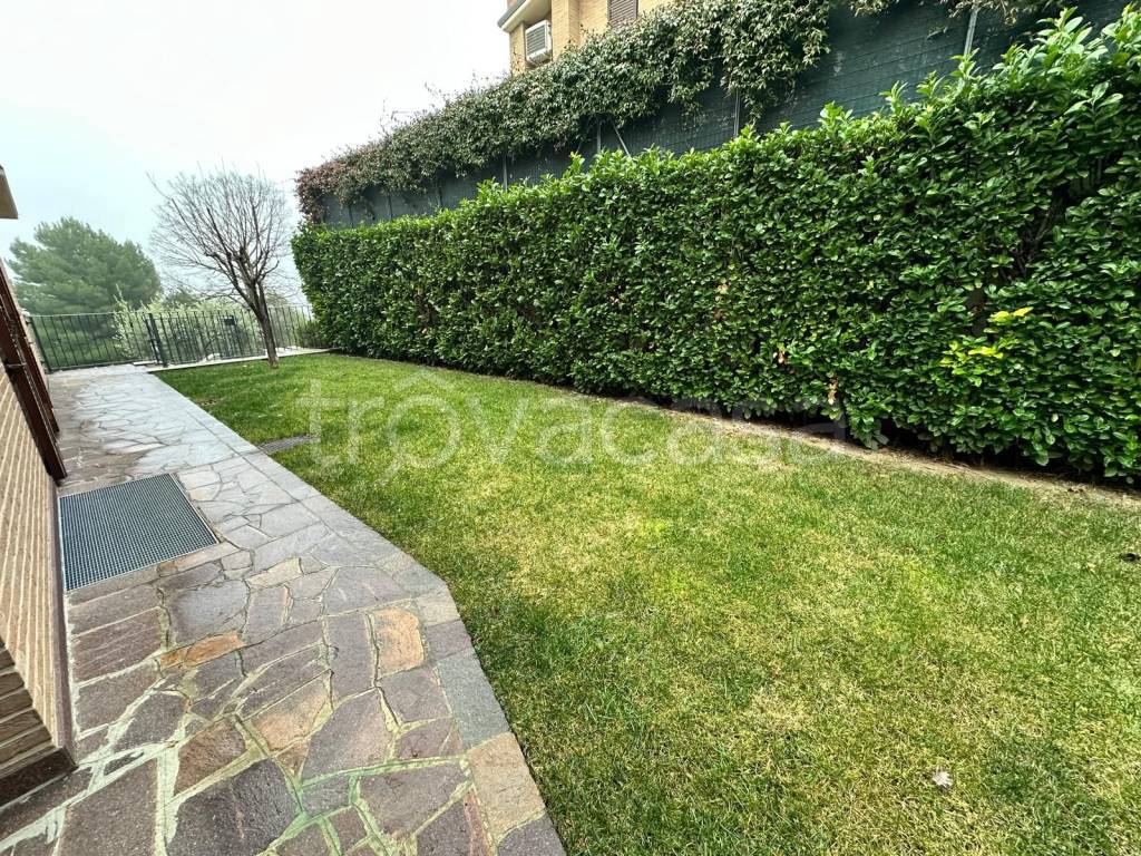 immagine annuncio 6 di 14