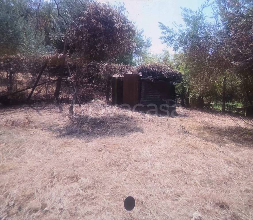 immagine annuncio 4 di 6