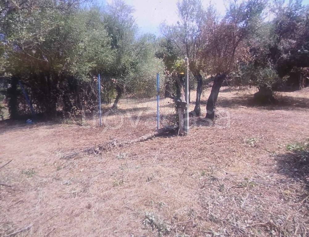 immagine annuncio 5 di 6