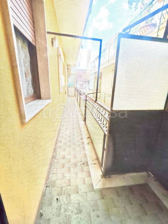 immagine annuncio 9 di 14