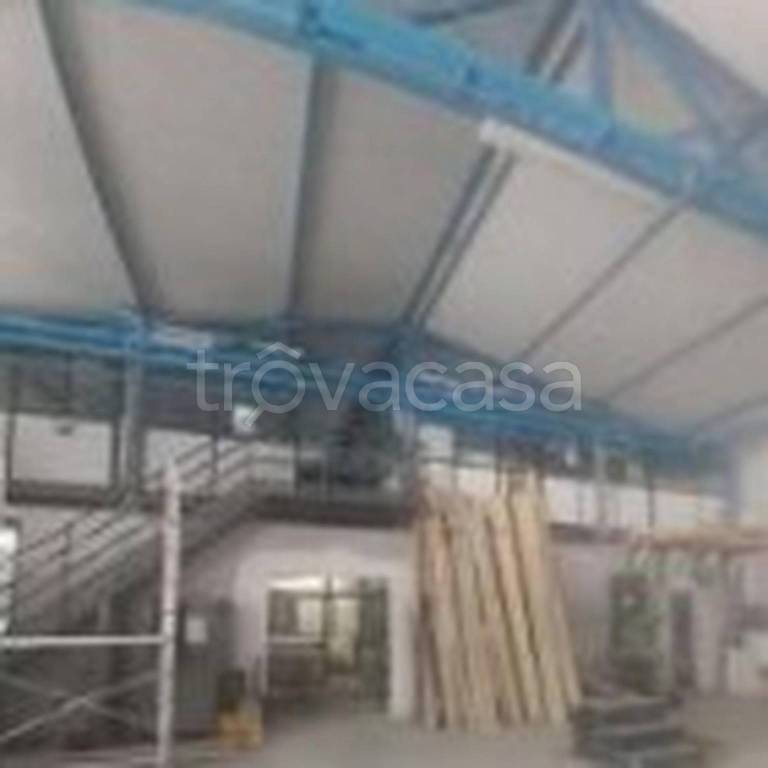 immagine annuncio 6 di 13