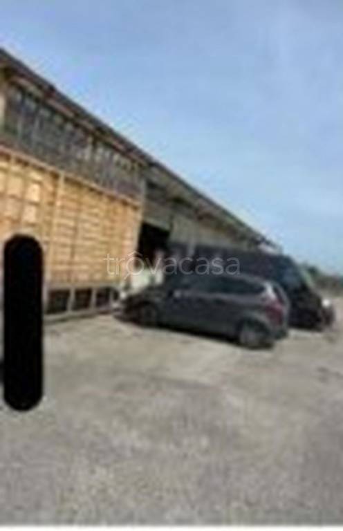 immagine annuncio 8 di 13