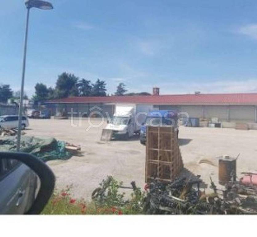 immagine annuncio 10 di 13