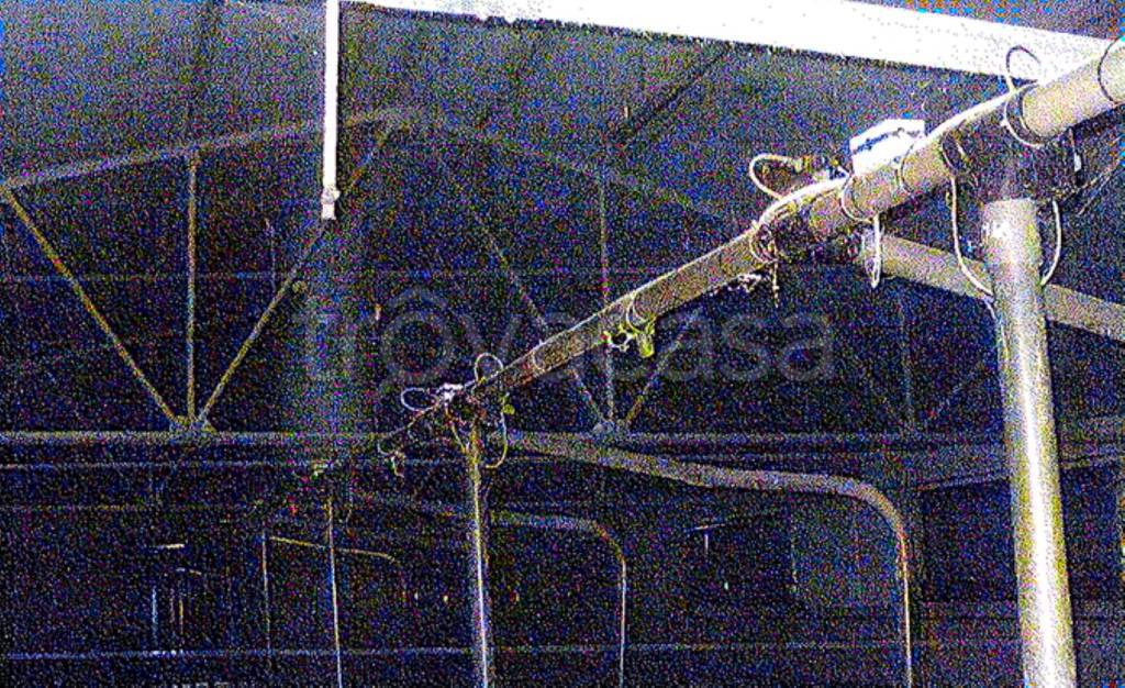 immagine annuncio 6 di 12