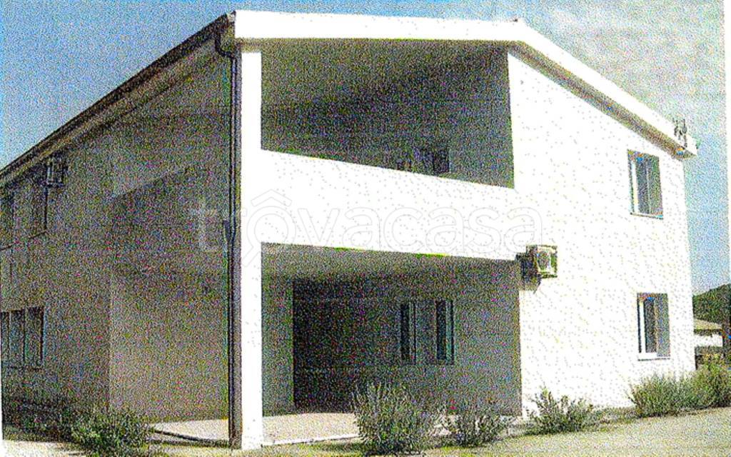 immagine annuncio 10 di 12